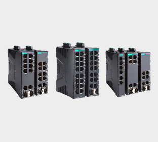 Layer 2 Smart Switches